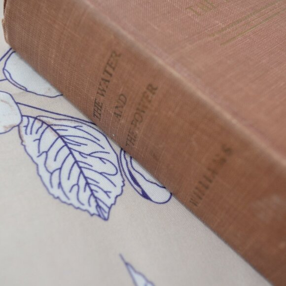 The Water and the Power Development of the Five Great Rivers of the West - Picture 3 of 5